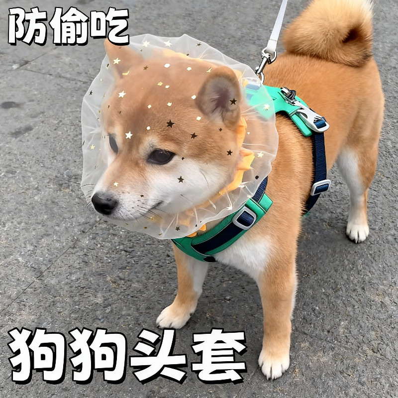 狗狗乱偷吃头套宠物项圈防乱舔防咬防投毒小狗网纱面罩透气嘴套