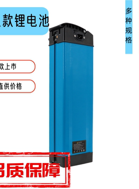 电动车锂电池60V电瓶蓝色电池银鱼电池代驾车电池动力电池通用款
