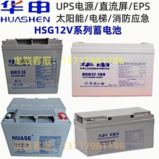 华申蓄电池HSG12-38免维护胶体电瓶12V100AH24A65A17AH直流屏UPS