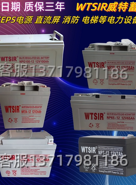 WTSIR威特蓄电池NP65-12V17AH24AH38AH65AH100AH阀控式免维护电瓶
