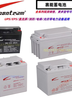 Sinontea赛能蓄电池SN-12V100CHJMF12V100AH20A24A38AH40A65A200A
