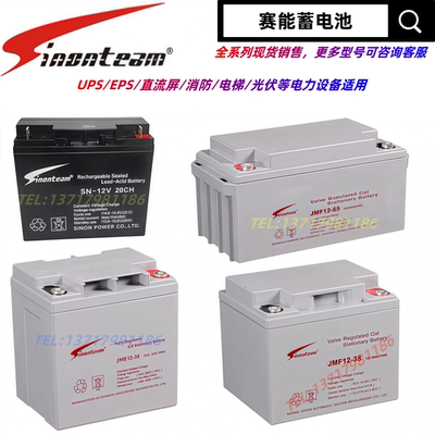 Sinontea赛能蓄电池SN-12V100CHJMF12V100AH20A24A38AH40A65A200A