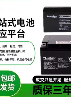 Netion力讯蓄电池NP-XA1240CH 12V17 38 40 65 100AH免维护阀控式