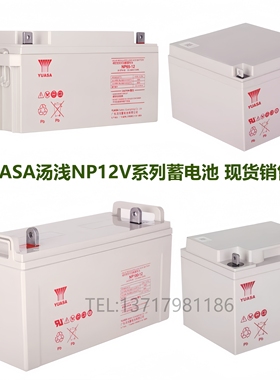 YUASA汤浅蓄电池NP65-12阀控式免维护12V100AH24A38A17.2应急储能