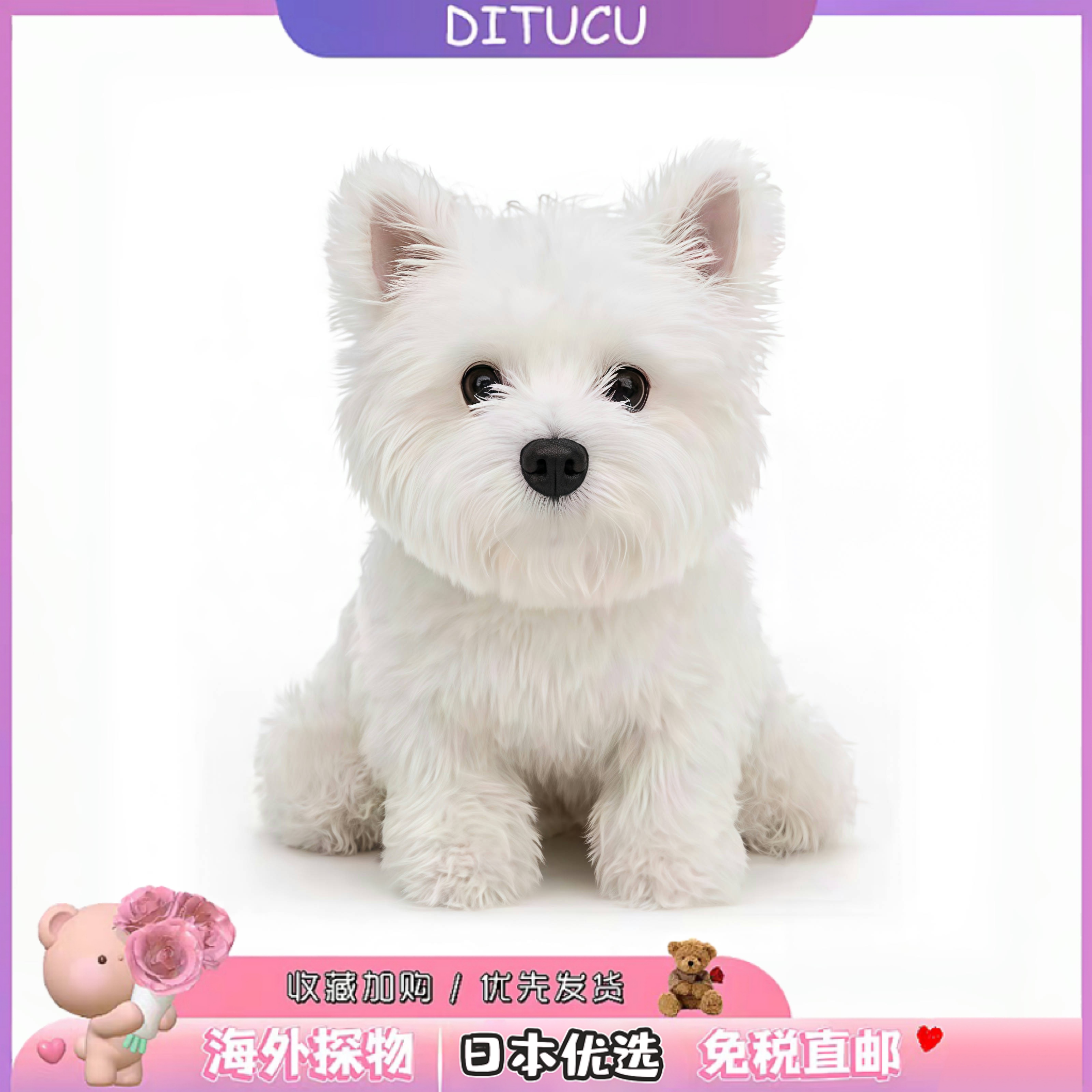 日本DITUCU仿真西高地公仔可爱小狗公仔玩偶送朋友闺蜜生日礼物