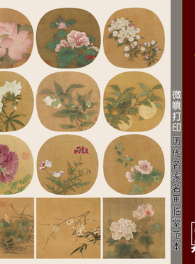 宋人小品集萃花卉宋代花鸟画国画临摹范本中式装饰画艺术微喷画心