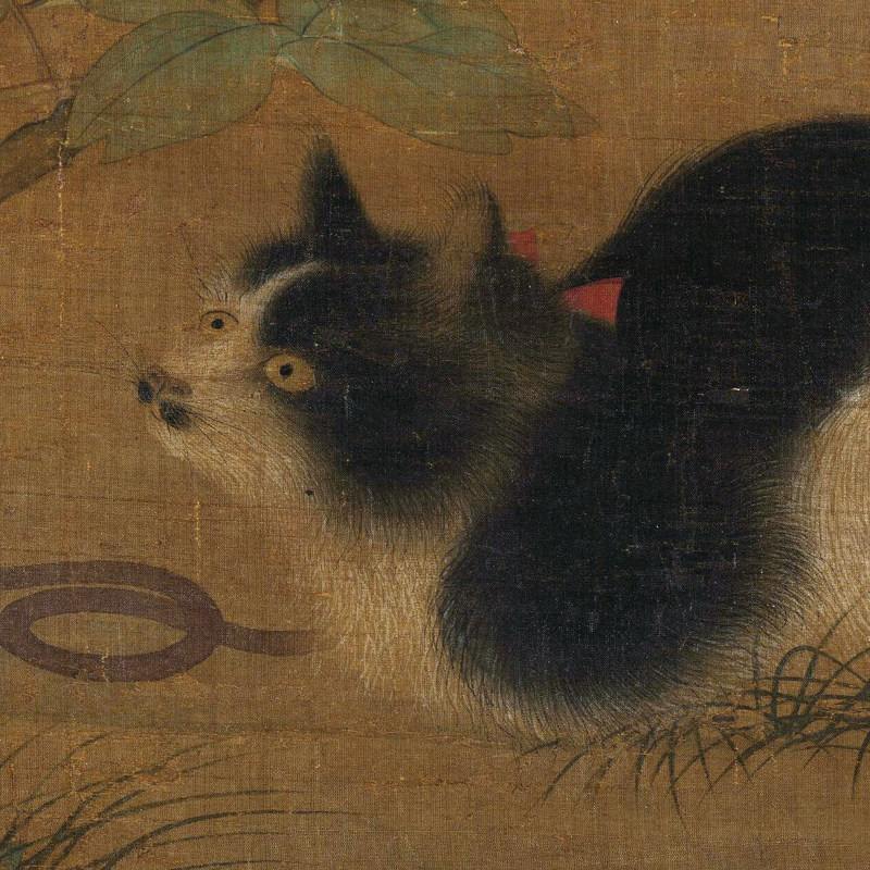 富贵花狸图宋代动物画传统花鸟临摹绢布画稿中式装饰画艺术画心