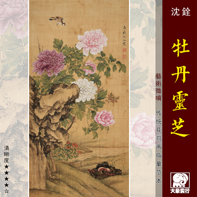 沈铨牡丹灵芝图工笔花鸟古画