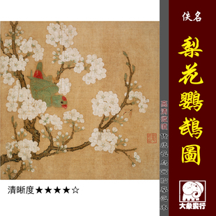 梨花鹦鹉图高清微喷宋元花鸟画小品临摹绢布画稿传统工笔花鸟范画