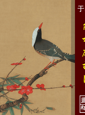于非闇红梅鹧鸪图高清微喷工笔花鸟丝绢画传统花鸟画临摹彩色画稿
