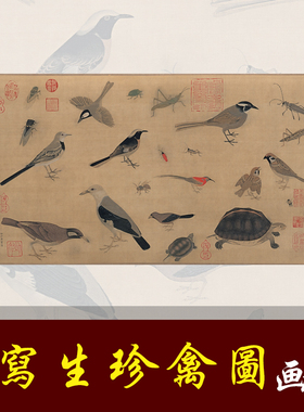 于非闇临黄荃写生珍禽图高清工笔花鸟临摹彩色画稿丝绢画仿古花鸟