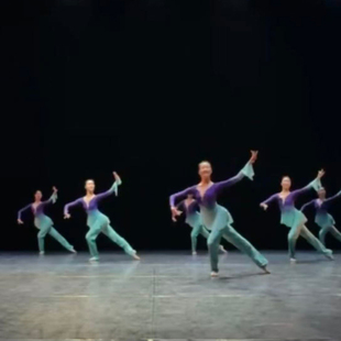 舞研依库北舞古典舞身韵舞蹈纱衣练功服女考级基训班服民间舞上衣