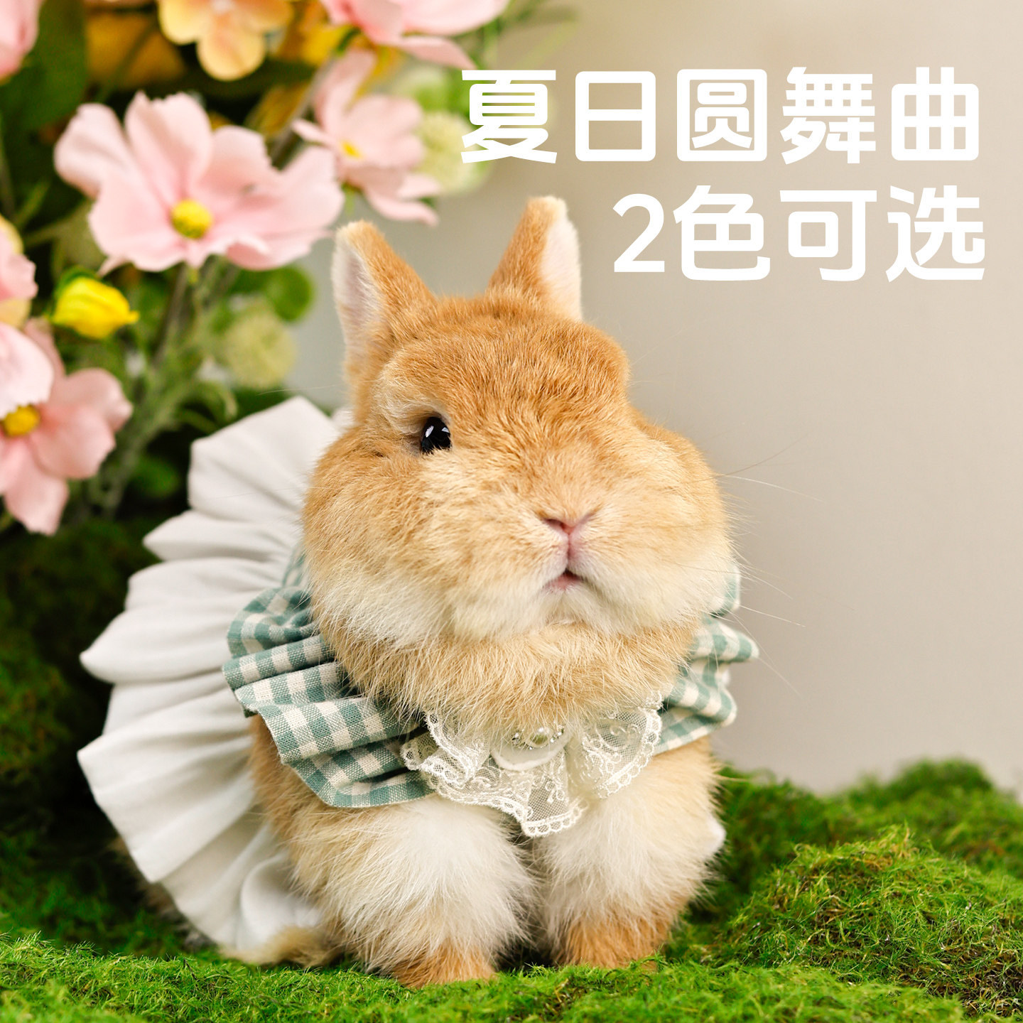 umi宠物兔兔萌萌可爱衣服夏季格子裙子潮流清新连衣裙小宠网纱裙