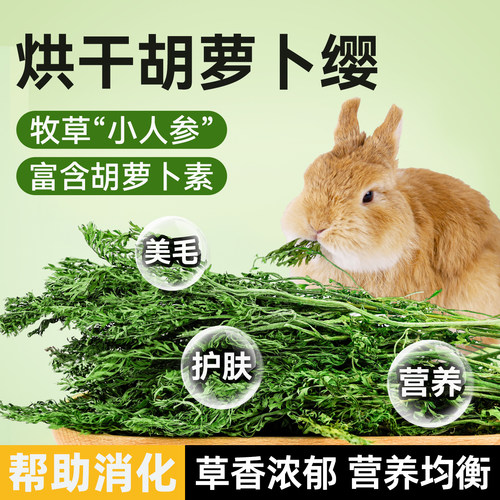 胡萝卜缨胡萝卜缨兔子龙猫干草