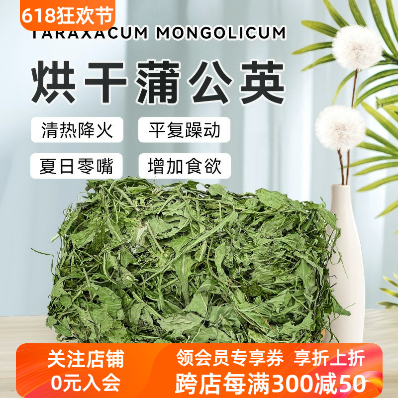 烘干整颗蒲公英抗菌消炎利尿兔子龙猫荷兰猪常备保健花草500g-封面