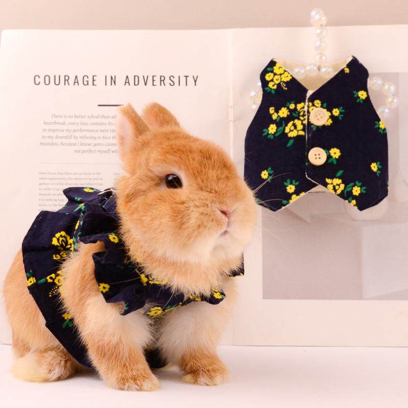 日系藏青色兔兔衣服马甲背心可爱裙子装扮外出俏皮宠物服饰牵引绳,宠物/宠物食品及用品,兔兔服饰,淘宝优惠券,粉丝福利购,淘宝优惠卷