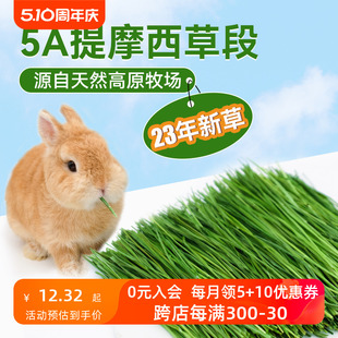 2023年新草烘干提摩西草北提草段5A兔子龙猫土拨鼠主草牧草500g