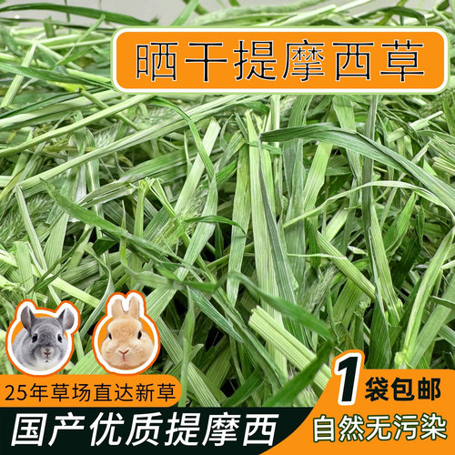 现货提摩西草北提草新鲜