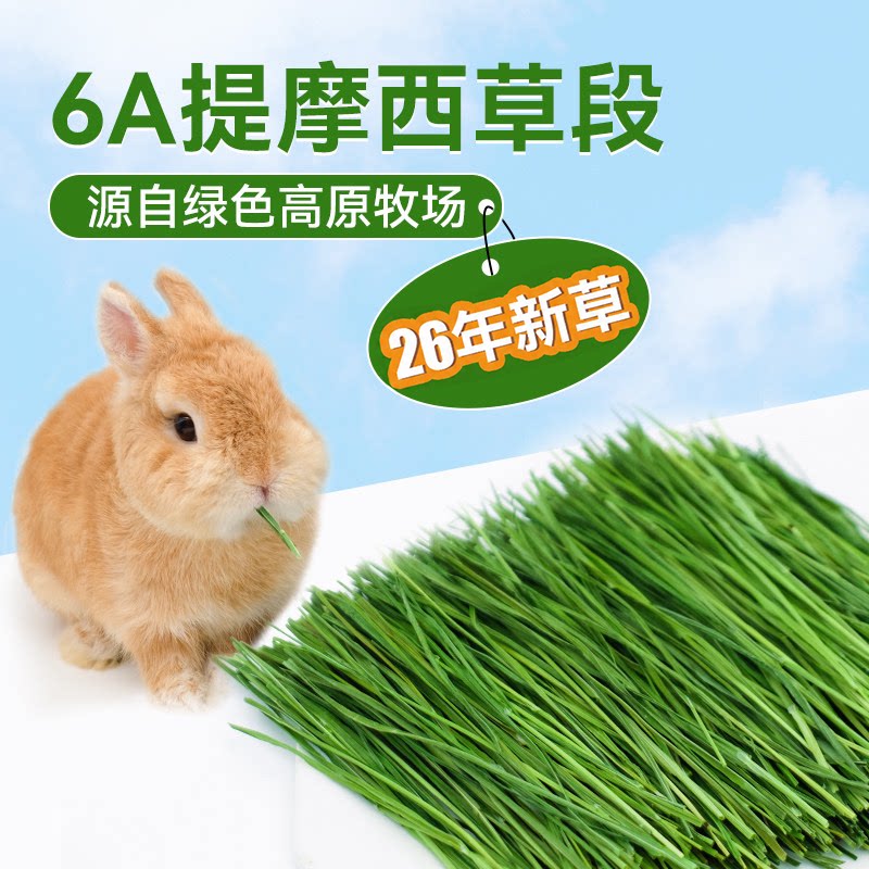 26年烘干提摩西草兔草兔子专用北提草段6A兔兔子龙猫牧草兔粮兔粮