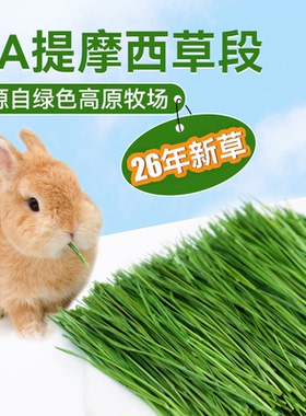 26年烘干提摩西草兔草兔子专用北提草段6A兔兔子龙猫牧草兔粮兔粮