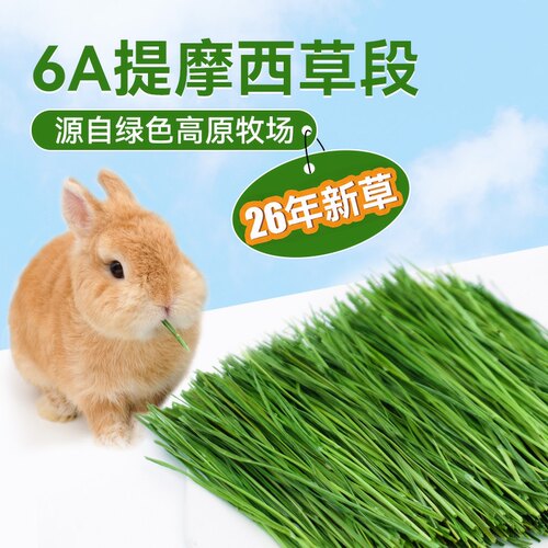 26现货新草北提土拨鼠500g兔子
