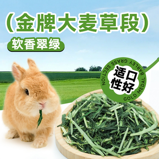 潇洒小宠25年新草大麦草段龙猫兔子荷兰猪牧草粗纤维调理肠胃250g