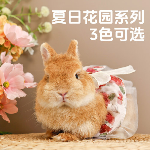 umi宠物兔兔夏日花园兔子夏季裙