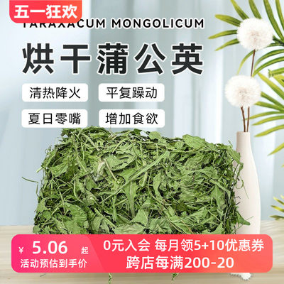 保健花草烘干蒲公英抗菌消炎利尿