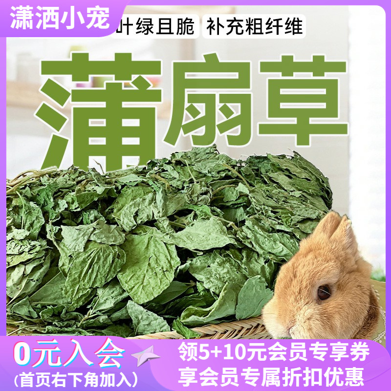 兔子草豆蔻草蒲扇草补充营养龙猫荷兰猪豚鼠土拨鼠零食兔饲料粮食 宠物/宠物食品及用品 兔兔干草 原图主图