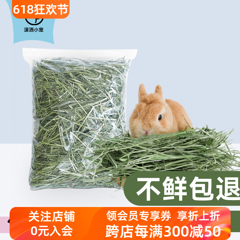 现货提摩西草北提草新鲜