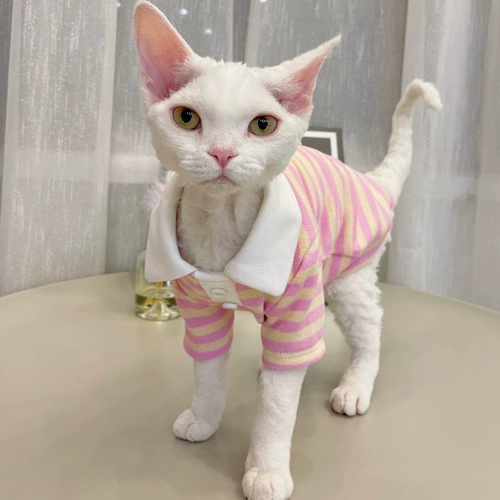 Милый эластичный хлопковый трикотажный летний свитер, воротник поло, 4 цветов