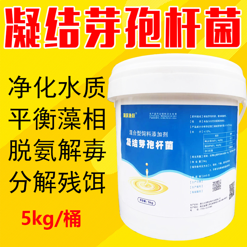 凝结芽孢杆菌水产鱼药em菌种净水肥水分解残饵降氨氮亚盐益生菌