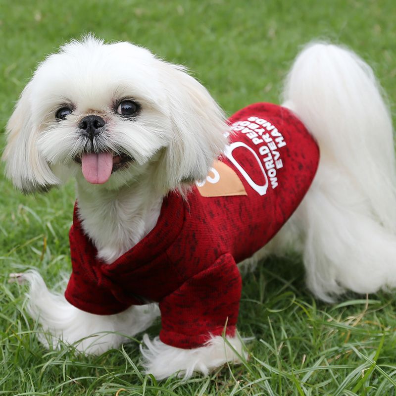 泰迪狗狗衣服小型犬卫衣加绒加厚