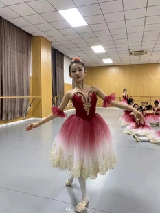 芭蕾舞演出服儿童比赛专业舞蹈服渐变色蓬蓬裙成人长纱裙芭蕾舞裙