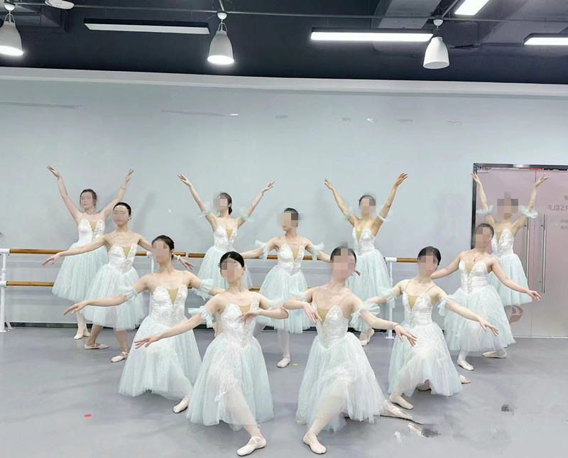 葛蓓莉亚芭蕾演出服儿童比赛专业表演裙白色蓬蓬裙成人芭蕾舞长裙