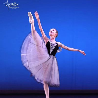 新款芭蕾纱裙黑天鹅儿童蓬蓬裙芭蕾舞裙演出服专业高端黑色定制