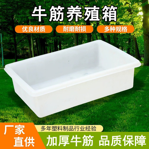 牛筋塑料水箱长方形大容量养殖箱