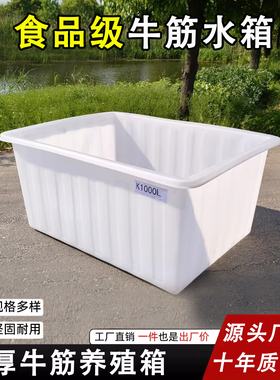 加厚牛筋箱长方形储水桶环保白色特大容量养殖箱养鱼养龟塑料浅盆
