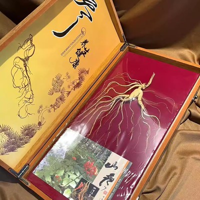 2025年春节礼盒20年山参实用礼物送长辈伴手礼送礼送父母礼品拜年