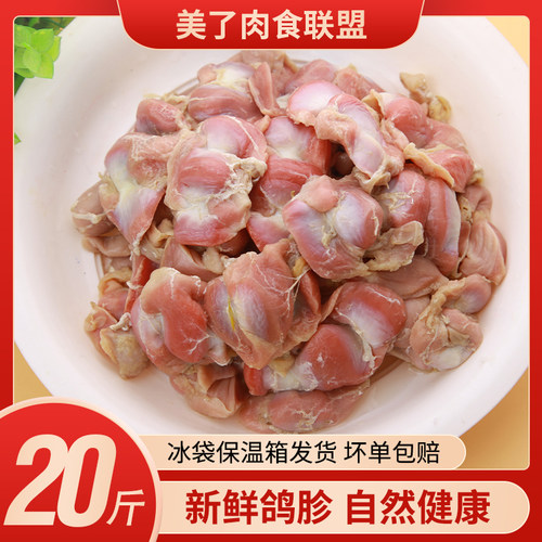 新鲜鸽子20斤装珍菌干净无油厂家