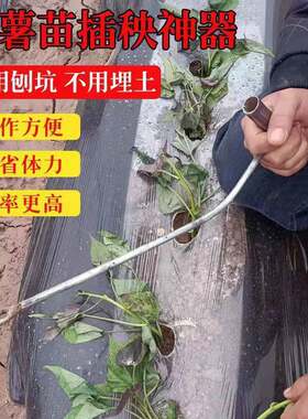栽苗神器蜜薯苗地瓜苗镊子剪刀地瓜小型插秧器载菜苗器钳子红薯藤