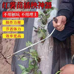 栽苗神器蜜薯苗地瓜苗镊子剪刀地瓜小型插秧器载菜苗器钳子红薯藤