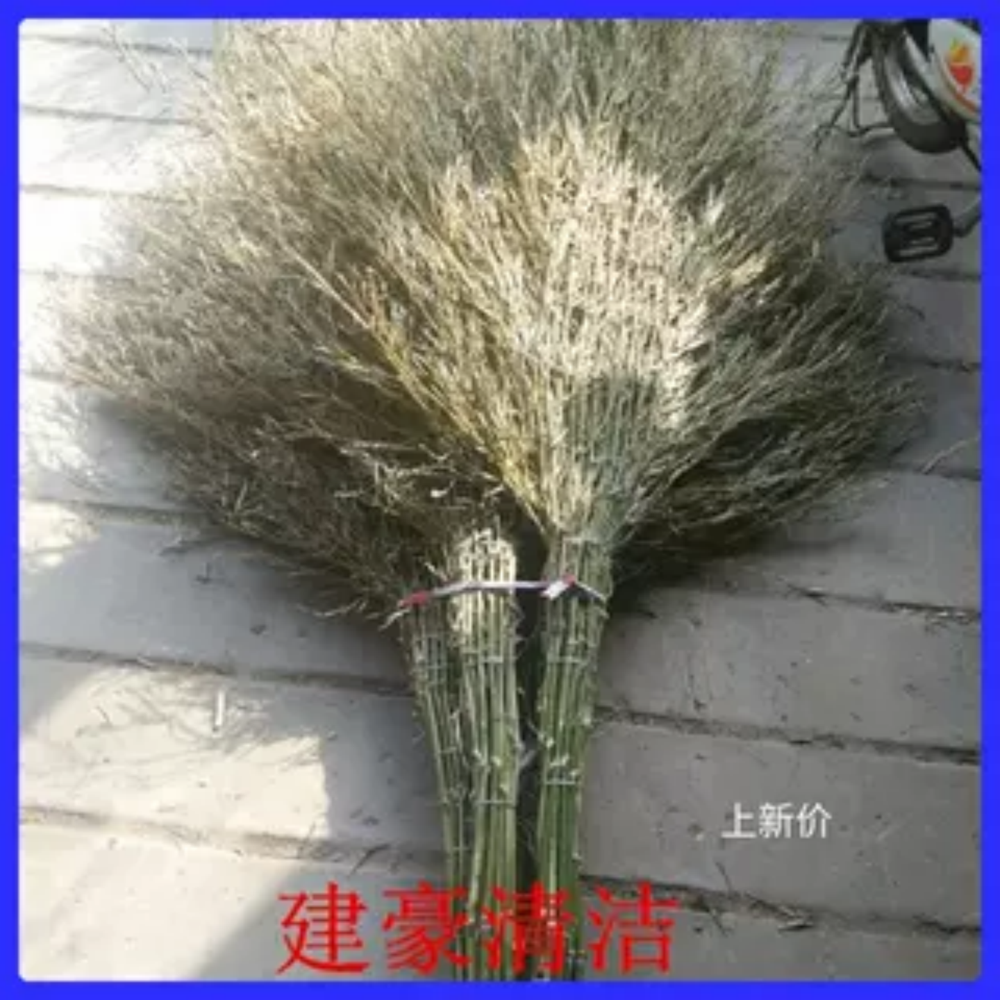 竹子保洁扫马路环卫竹单个笤帚