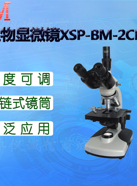 BM彼爱姆视频生物显微镜XSP-BM-2CBAD 2CBAP三目4个物镜 1600倍