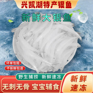 兴凯湖特产银鱼新鲜速冻无刺无骨无盐淡水小银鱼宝宝辅食配菜500g