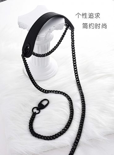 迪奥戴妃包肩带链dior包带