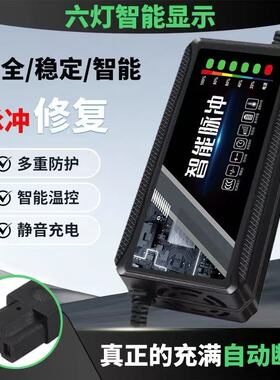 电动车电瓶充电器48V12AH60V20A72V爱玛雅迪小刀台铃石墨烯通用