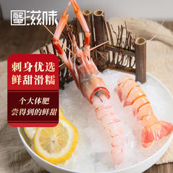 新西兰鳌虾 南极深海小龙虾scampi斯干比虾01234号大号海螯虾刺身
