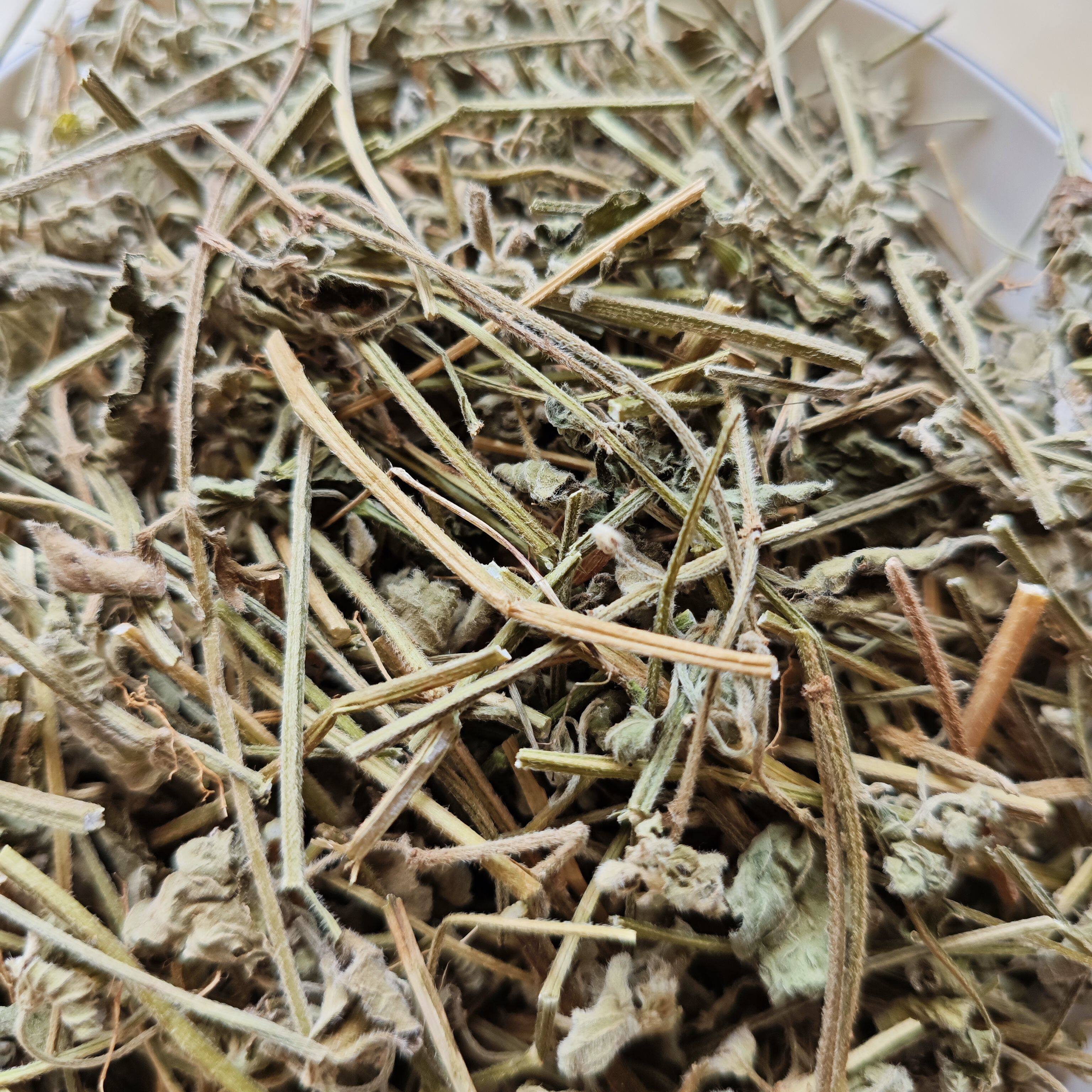 白花仔新鲜万毒虎老虎花白花塔仔草茶匙红福建白绒草银针七北风草