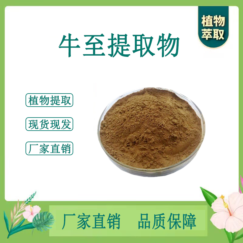 牛至提取物 小叶薄荷浓缩粉末 另售紫苏枇杷叶香薷 原料 100g散装